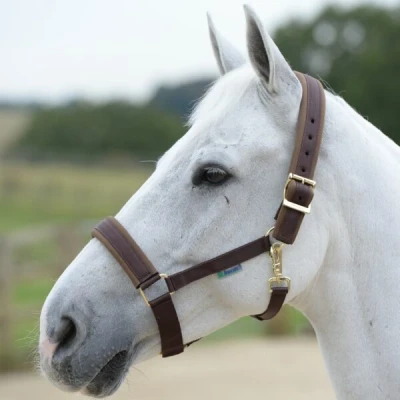 Image de Bucas Licol Comfort Marron XFull