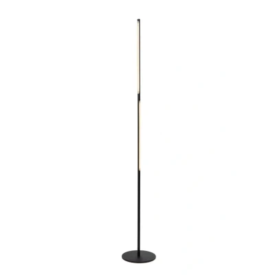 Afbeelding van Lucide FINAN Vloerlamp LED Dimb. 1x32W 2700K Zwart