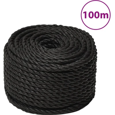 Afbeelding van vidaXL Werktouw 12 mm 100 m polypropeen zwart
