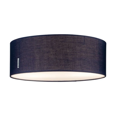 Image de Paulmann Mari Plafonnier Blue