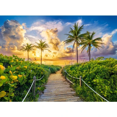 Afbeelding van Miami, USA Puzzel 3000 stukjes