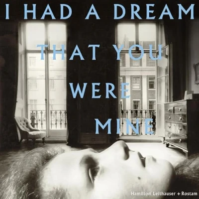 Afbeelding van Hamilton &amp; Rostam Leithauser I Had a Dream That You Were Mine (LP)