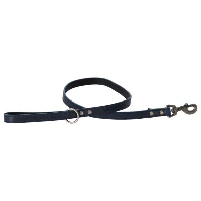Afbeelding van Adori Looplijn Vintage Met Print Blauw Hondenriem 100x1.8 cm