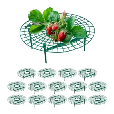Afbeelding van Relaxdays Aardbeienstandaard, 15 stuks, bescherming tegen rot, slakken, rooster voor aardbeien, kunststof, groen