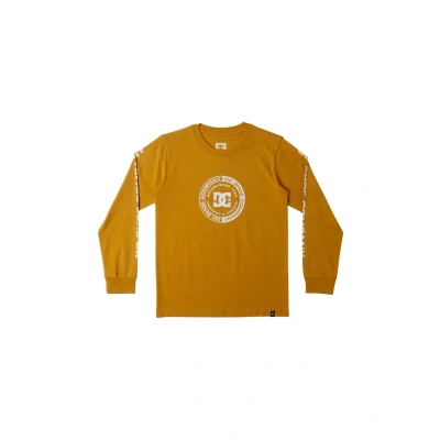 Afbeelding van DC Shoes Corpo Longsleeve voor kinderen, Maat: 176, Yky tinsel
