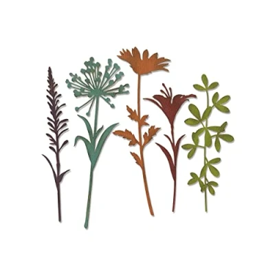 Afbeelding van Sizzix Thinlits Die Set 5PK Wildflower Stems #2 664164 Tim Holtz (01 19)