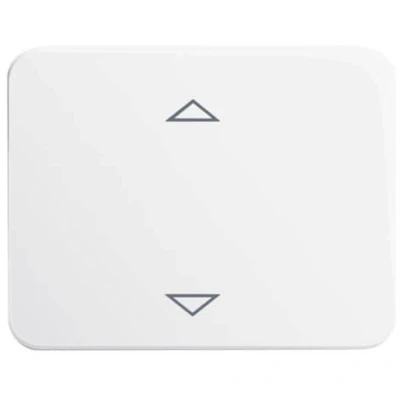Afbeelding van Busch Jaeger, Accessoires schakelprogramma, Bedieningselement