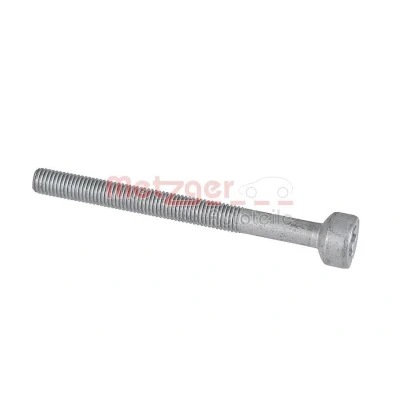 Afbeelding van METZGER 0870128S Schroef, inspuitstukhouder MERCEDES BENZ: E Class Saloon, C T modell, Viano
