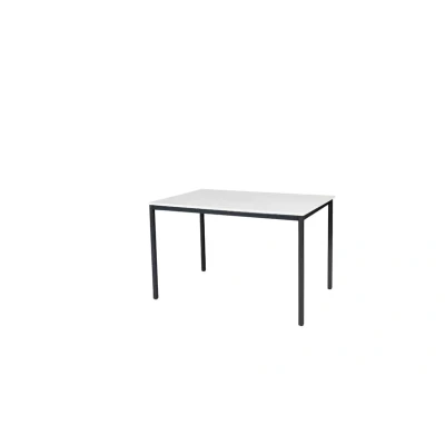 Afbeelding van Domino Basic bureautafel, vaste hoogte met 120x80cm licht grijs 25mm blad en zwart (RAL9005) 4 poot frame