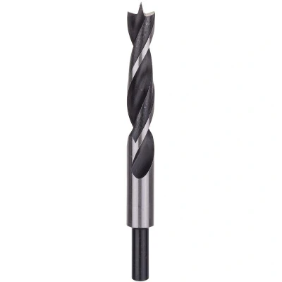 Afbeelding van Bosch Accessories 2609255213 Hout spiraalboor 16 mm Gezamenlijke lengte 160 Cilinderschacht 1 stuk(s)